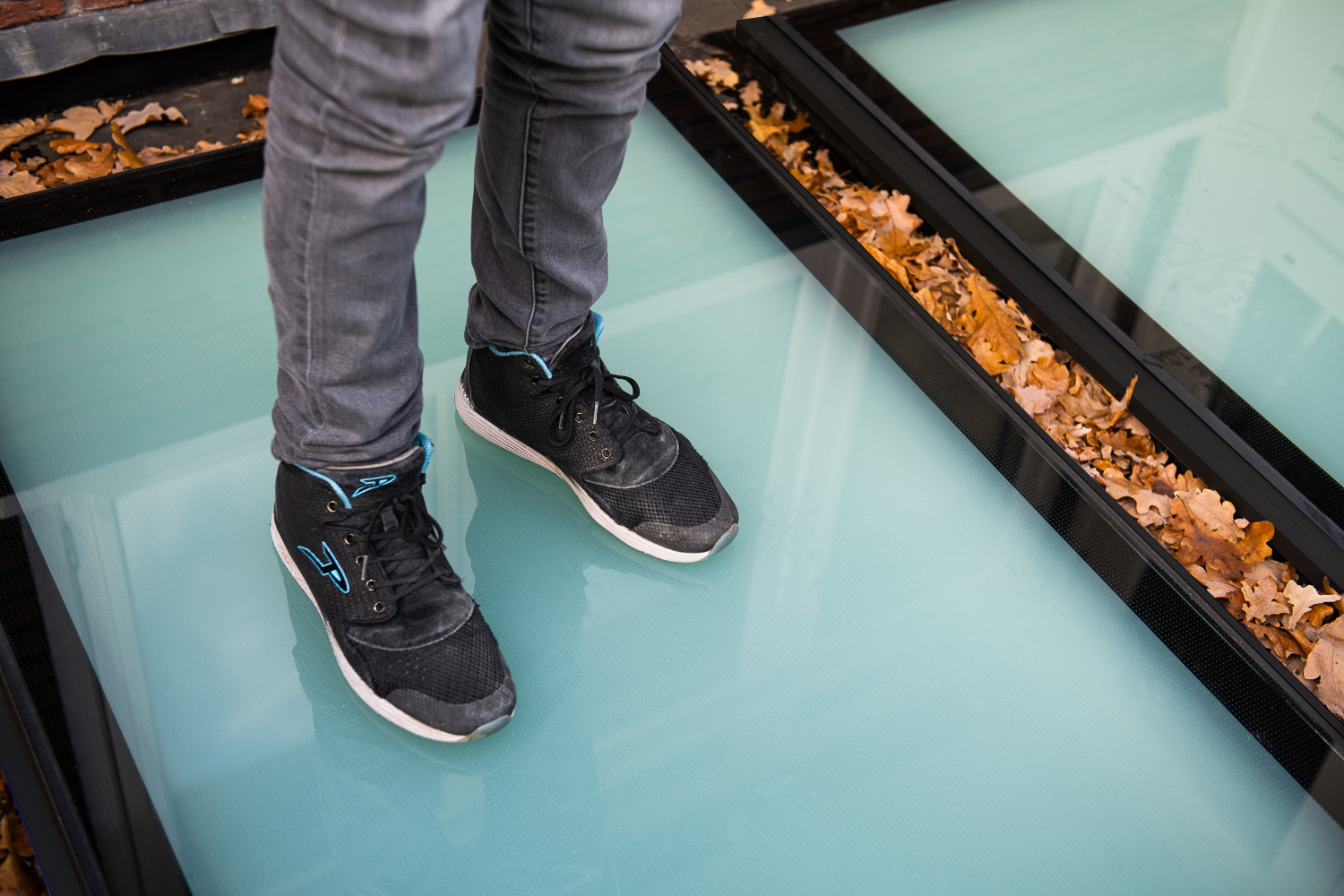 Dachlux Begehbares-Oberlicht